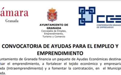 Convocatoria de ayudas del Ayuntamiento de Granada para el emprendimiento, la consolidación empresarial y la contratación